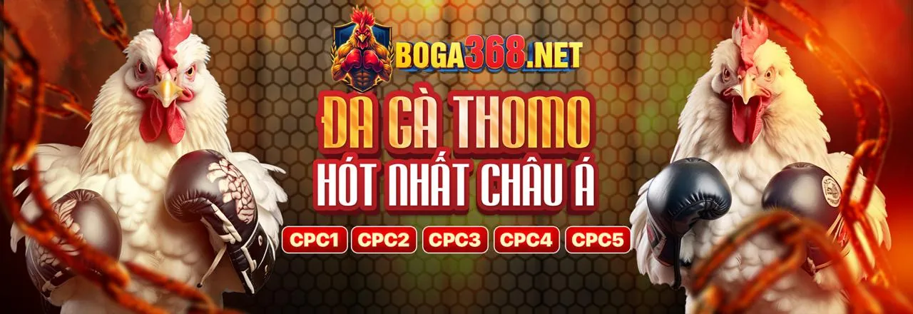 Đá Gà Trực Tuyến ji88 casino
