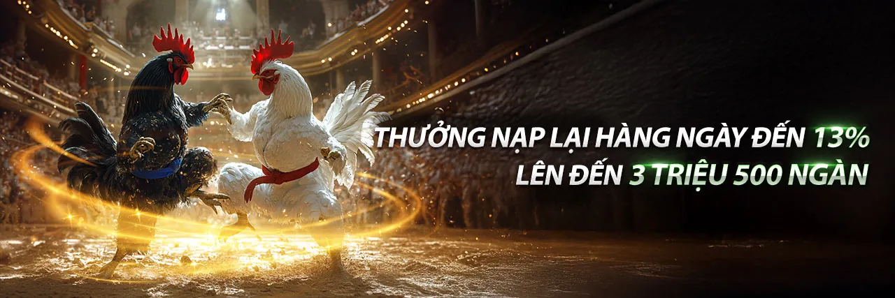 Cá cược thể thao ji88 casino
