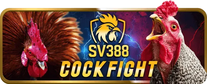 Đá Gà Cựa Dao ji88 casino
